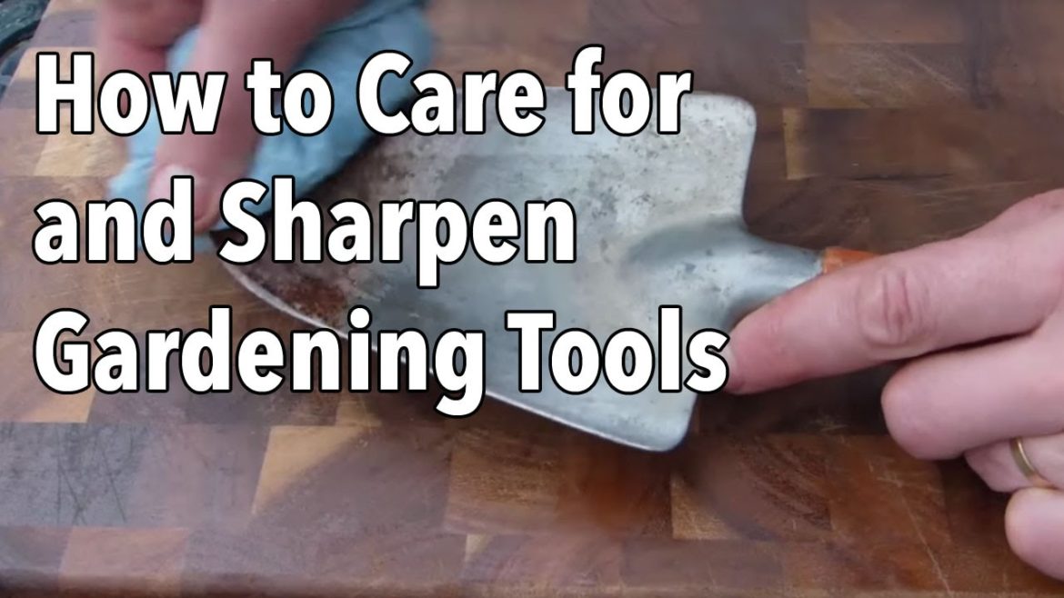 How to Care for and Sharpen Gardening Tools