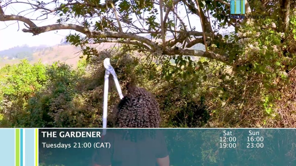 Basic gardening principles