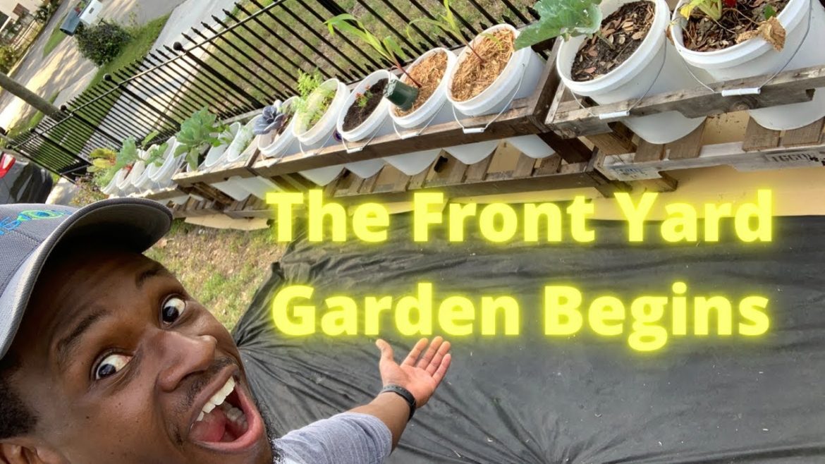 Gardening Surprise!!! Moving my Backyard Container Garden to the Front Yard!! Garden w/Me!! DKUJ