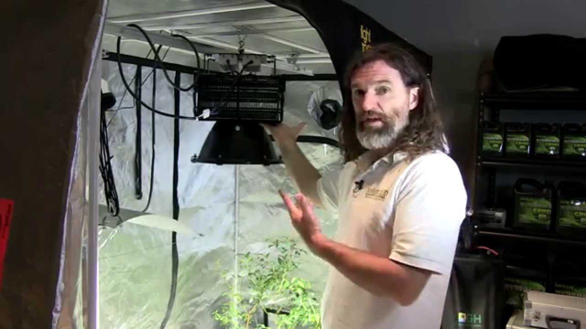 Sunlight LED Grow Lights