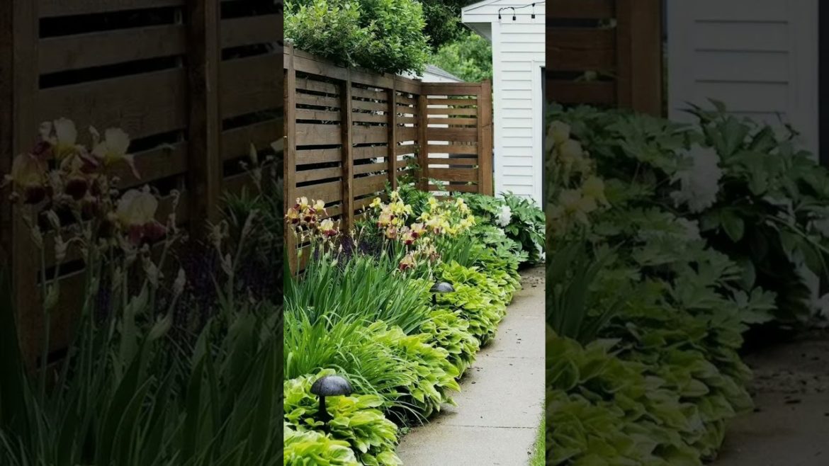 Backyard Design Ideas