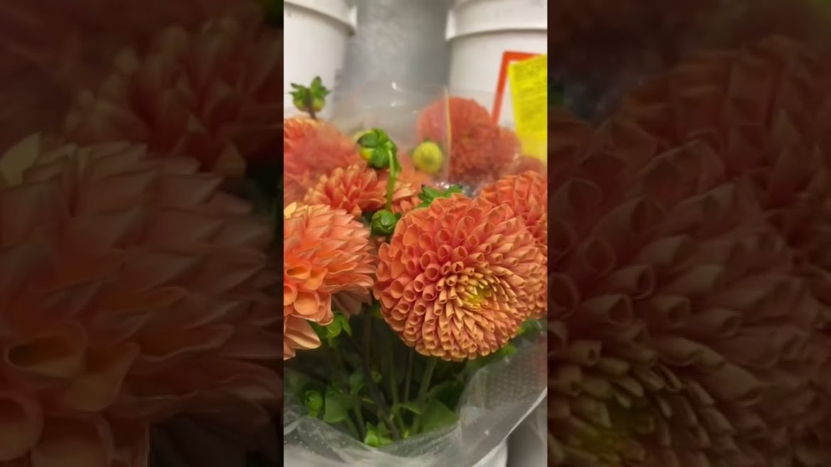 I make my own flower arraignments for my mobile bar!