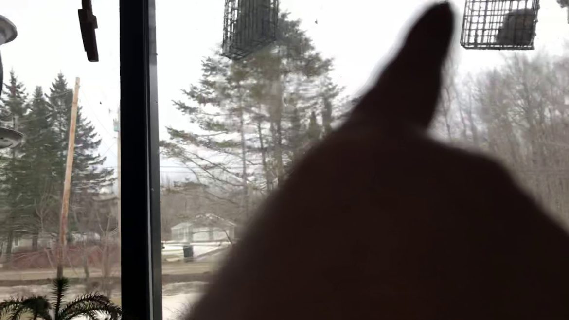 Tractor supply prepping haul I gardening haul I gardening and growing more food