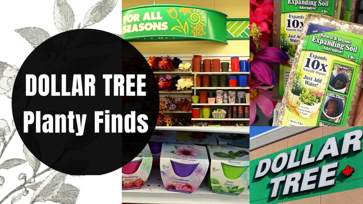 DOLLAR TREE SHOPPING for GARDEN SUPPLIES in Canada 2022 | PLANT POTS AND DECOR