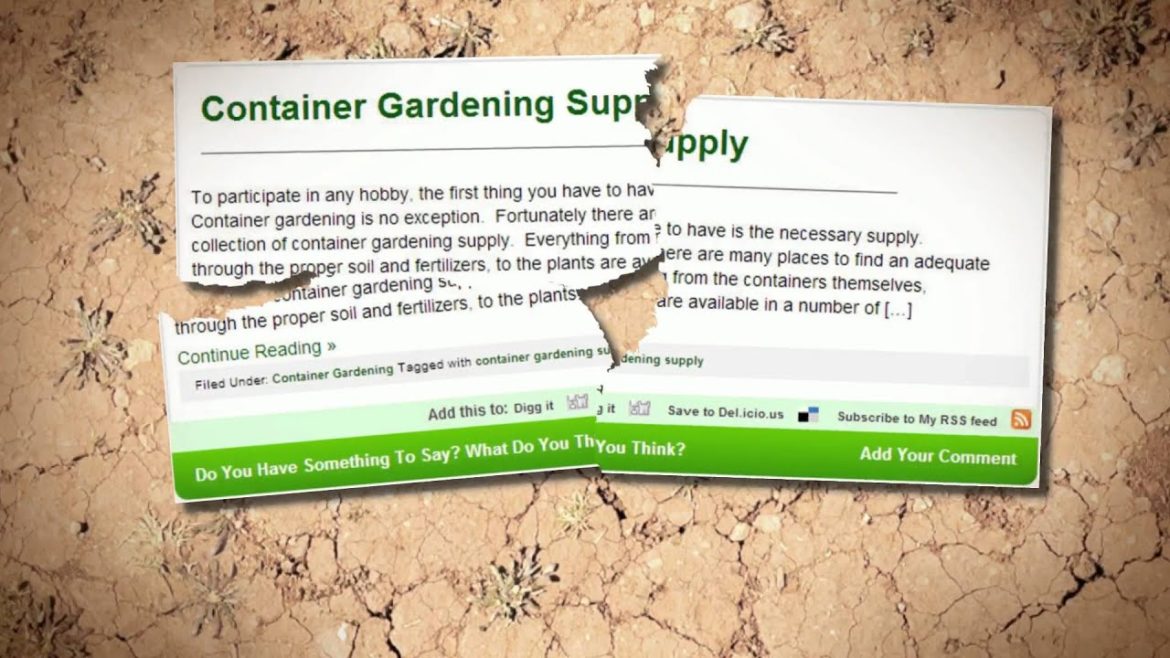 Container Gardening by Home Vertex