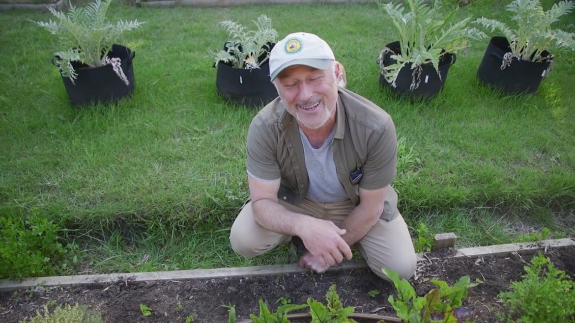 Why We Should Not Dig Out Soil