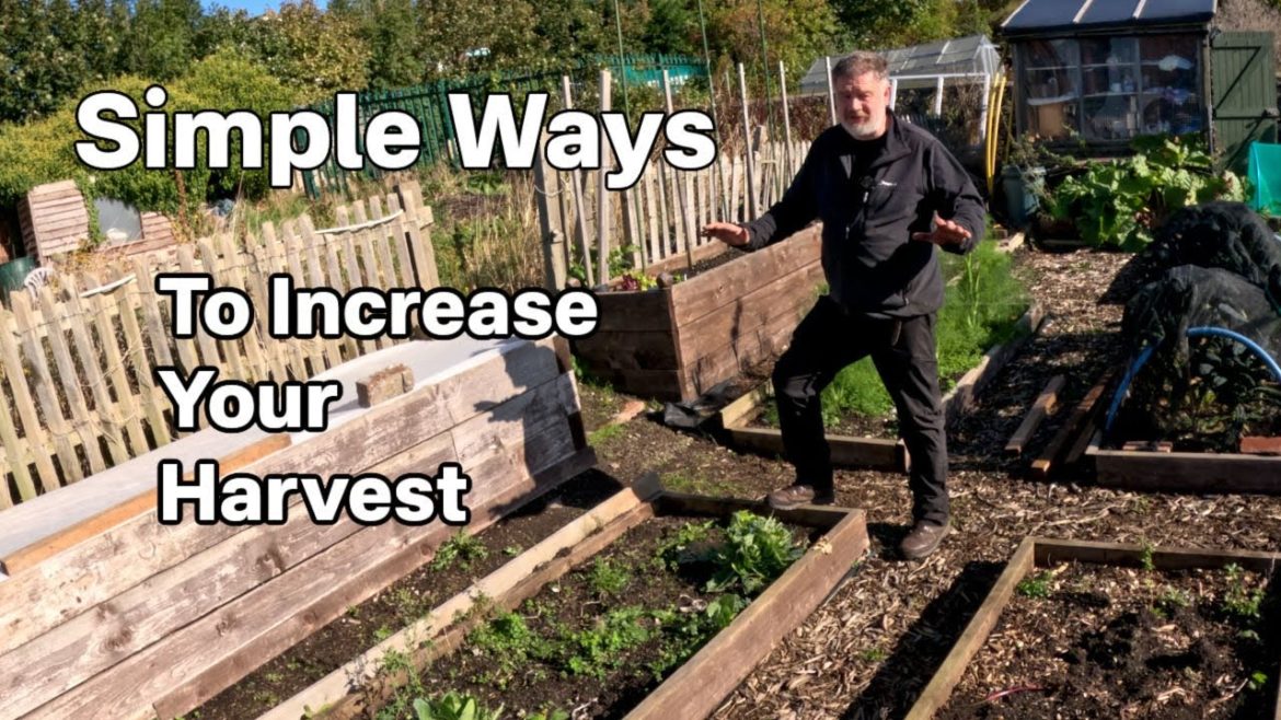 7 Gardening Lessons You Need to Know For October  | 7 Jobs To Do In October | October In The Garden