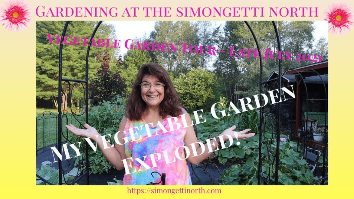 Vegetable Garden Tour  -  Late July 2021 🌽🥒🍅 🍠 // Gardening at the Simongetti North