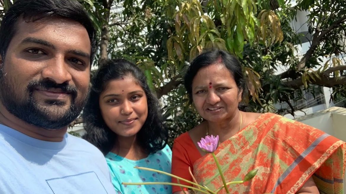 Water Lillies give away 2/gardening tips