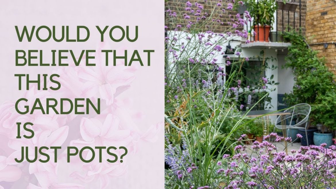 Rented garden ideas – create a stunning garden in pots! Rented garden ideas - create a stunning garden in pots!
