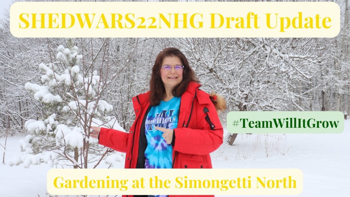 SHEDWARS22NHG Draft Update π₯π«π₯¬πππ // Gardening at the Simongetti North SHEDWARS22NHG Draft Update π₯π«π₯¬πππ // Gardening at the Simongetti North