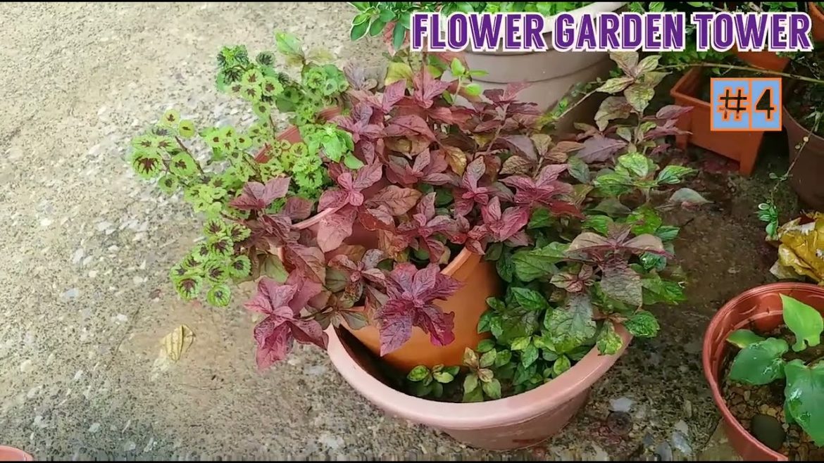 Gardening ideas for home/work smart propagation plant tricks Gardening ideas for home/work smart propagation plant tricks
