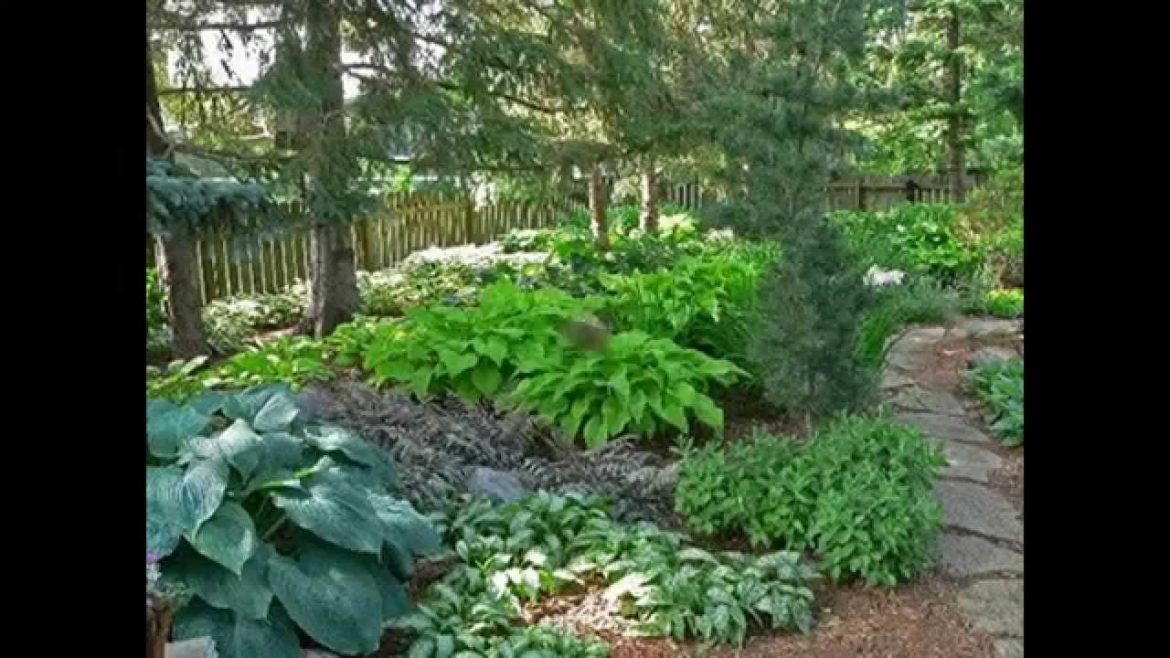 Creative Shade garden design ideas