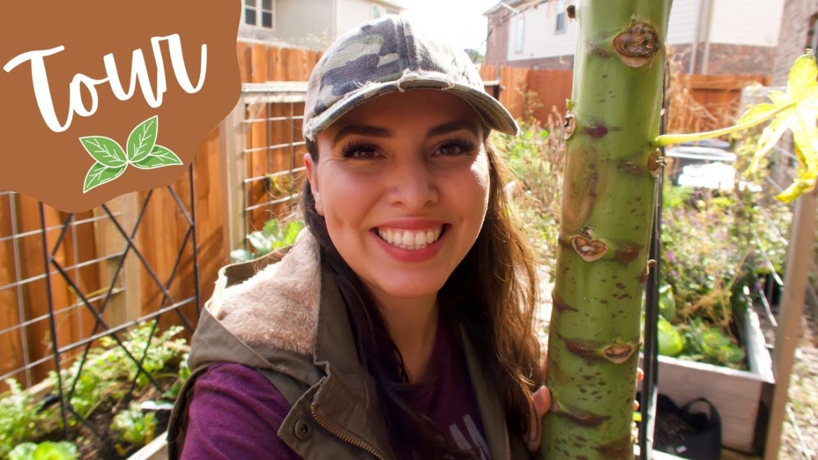 January Vegetable Garden Tour | 2022