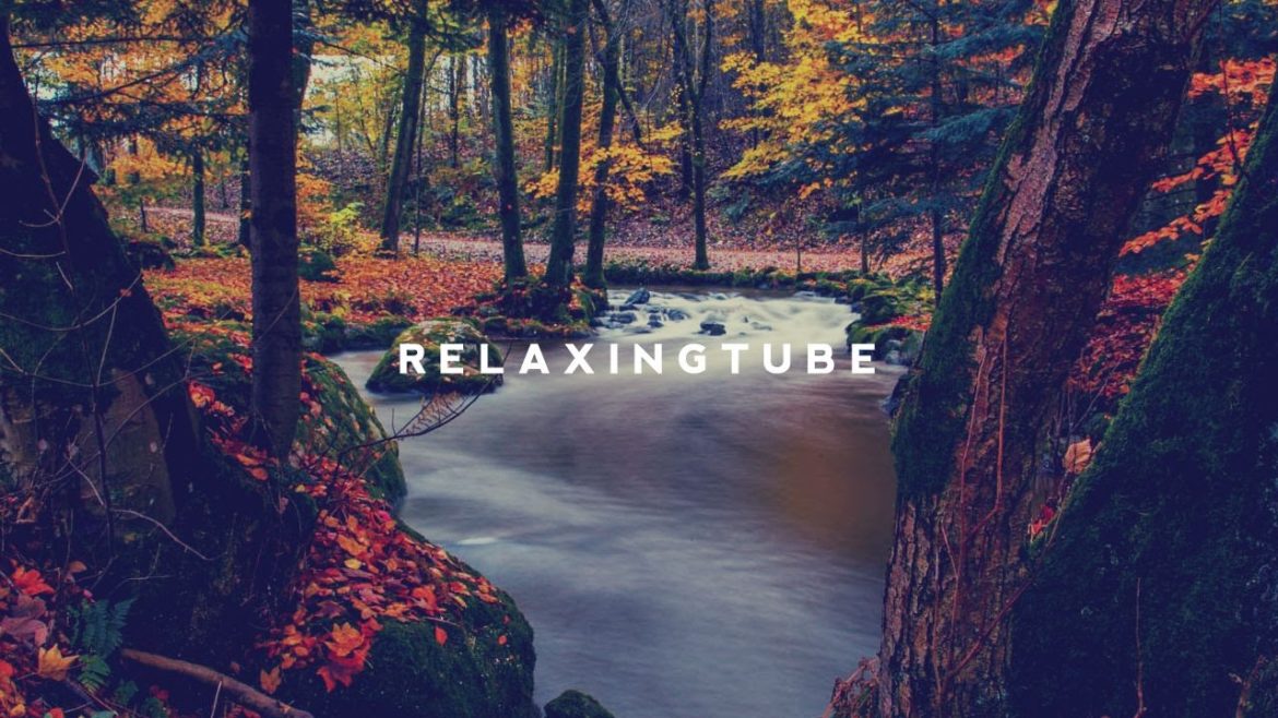 Japanese traditional relaxing music | Koto, Zen Garden, Instrumental, Spa – Nº 003 Japanese traditional relaxing music | Koto, Zen Garden, Instrumental, Spa – Nº 003