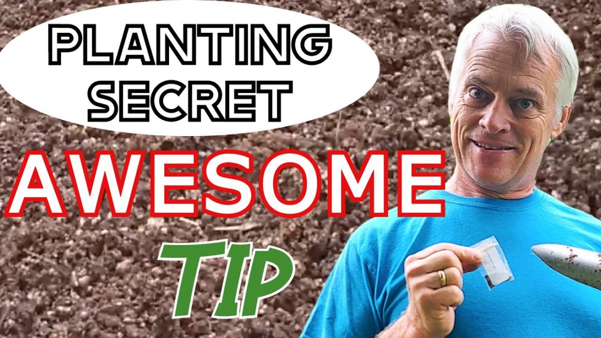 Seed Planting Tip For Growing Success 🌳 Seed Planting Tip For Growing Success 🌳