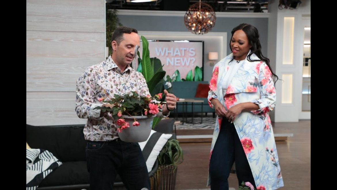 5 gorgeous annual flowers you'll want in your garden this Spring