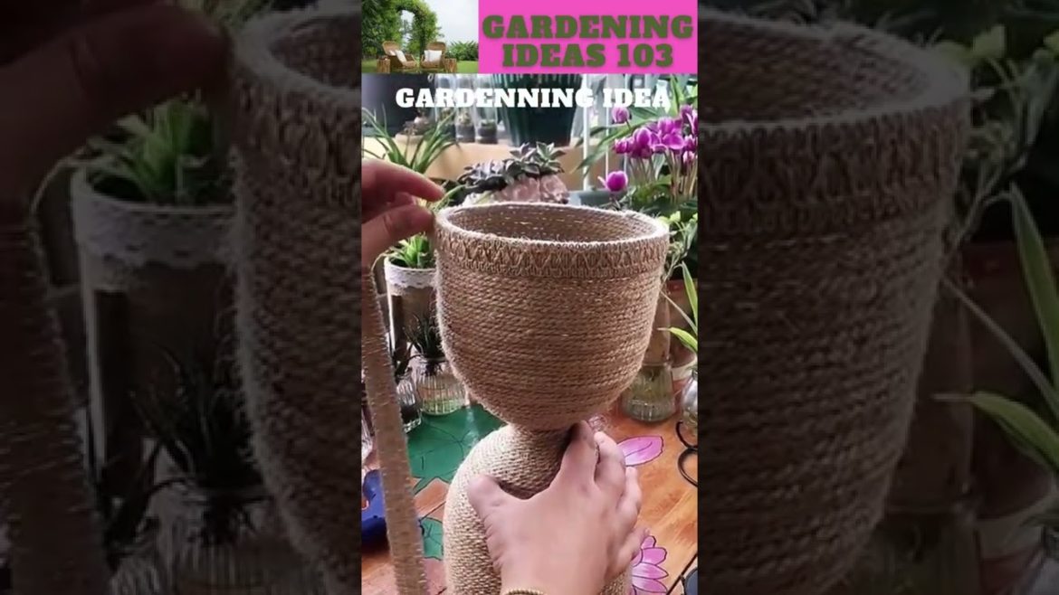 Empty bottles can grow plant like this😆🌴🌱🌿😇/gardening ideas 😇…@Sunil Marchant