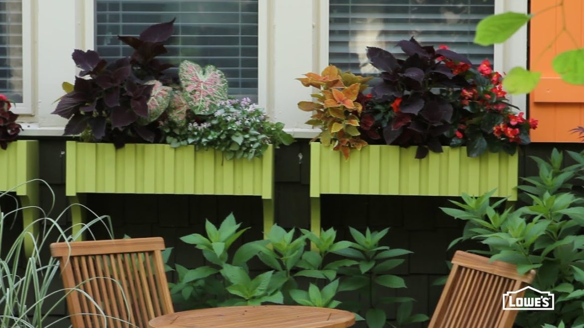 Make Window Boxes for Container Gardening