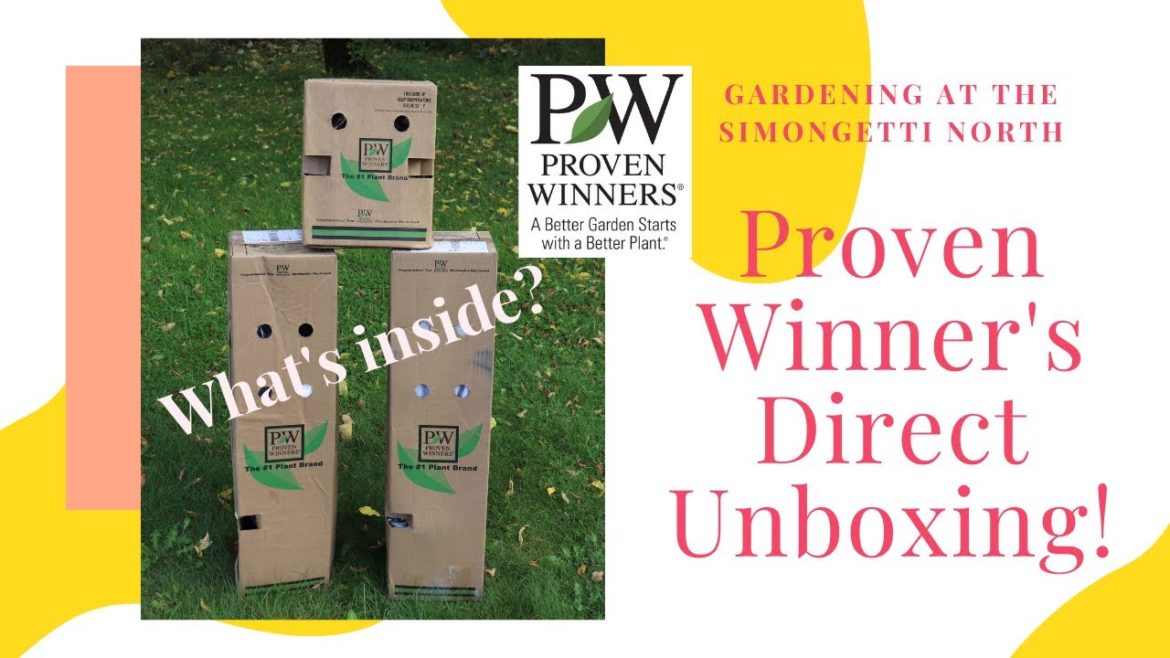 Proven Winners Direct Unboxing Oct 2021 // Gardening at the Simongetti North