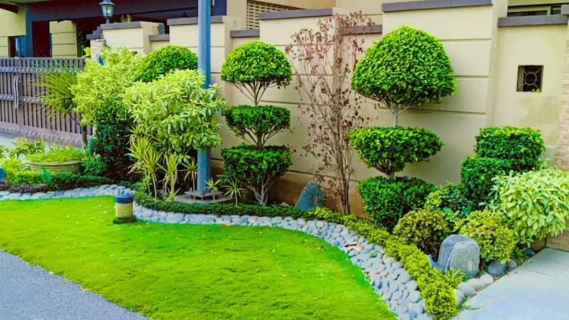 Best Ideas! Top 50 Garden Small Backyard Landscaping Beautiful Garden Ideas Creative &LANDSCAPING Best Ideas! Top 50 Garden Small Backyard Landscaping Beautiful Garden Ideas Creative &LANDSCAPING