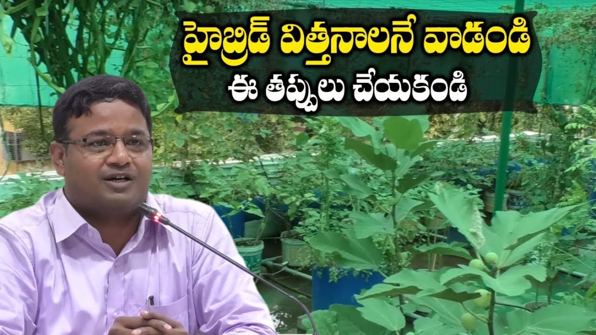 Vegetable Gardening Tips for Beginners || M.Nagaraju Agri Horticultural || SumanTV Tree