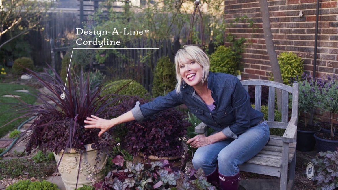 Create Your Own Purple Plant Container Garden Trio with Linda Vater and Southern Living Create Your Own Purple Plant Container Garden Trio with Linda Vater and Southern Living