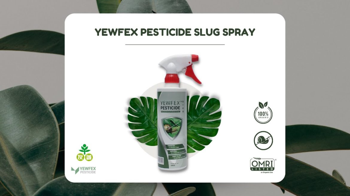 Say Goodbye to Annoying Snails and Slugs from Your Plants | YEWFEX Pesticide Slug Spray Say Goodbye to Annoying Snails and Slugs from Your Plants | YEWFEX Pesticide Slug Spray