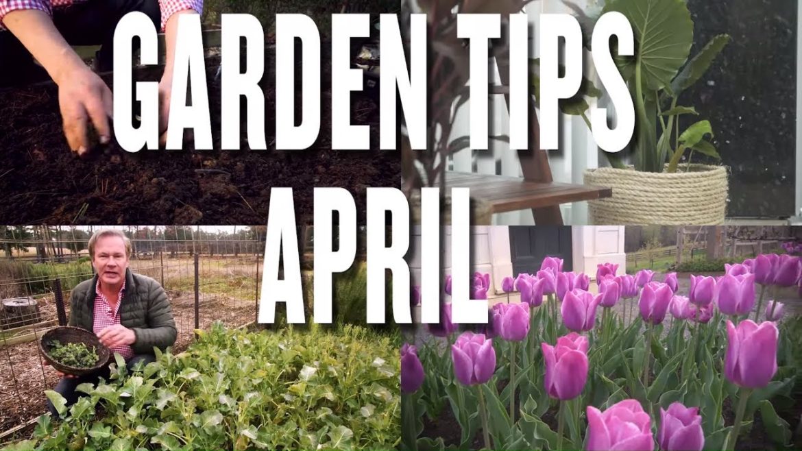 April Garden Tips and Projects: P. Allen Smith (2019) April Garden Tips and Projects: P. Allen Smith (2019)