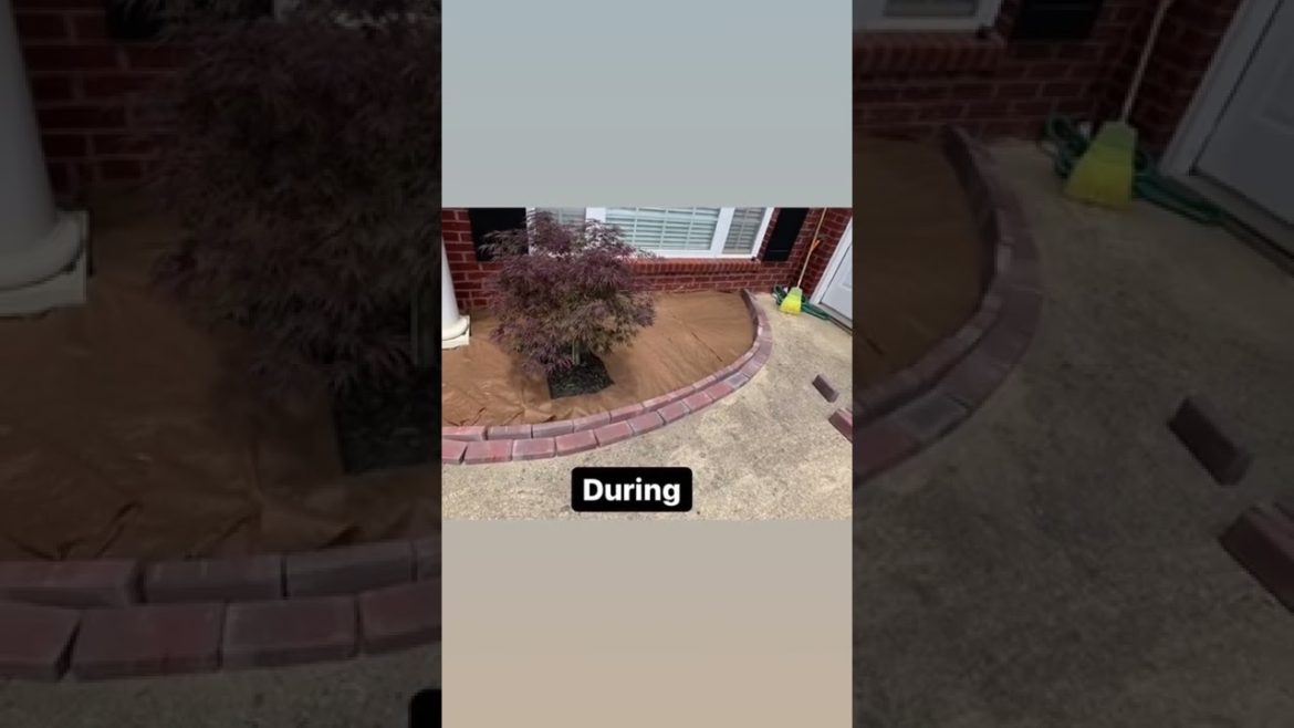 Atlanta Best Gardens | Garden Design Ideas and Inspiration