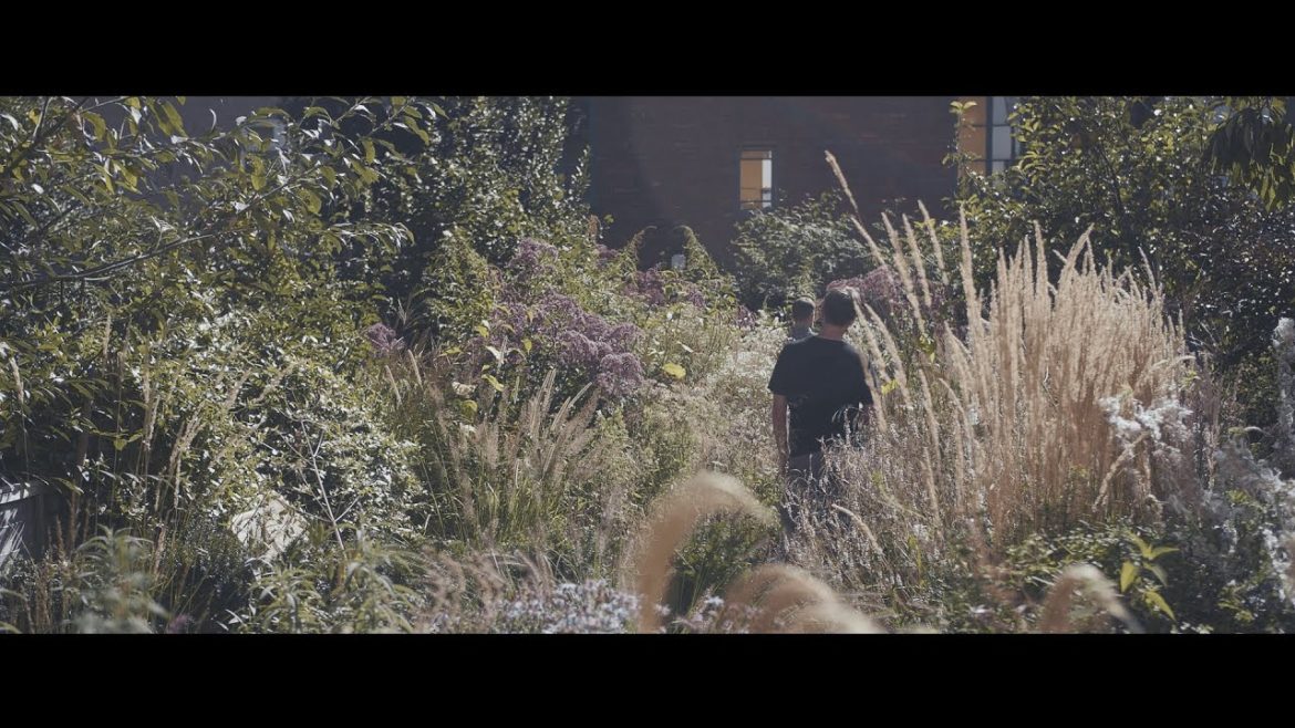 Garden Design & Build – Artisan Landscapes Garden Design & Build - Artisan Landscapes