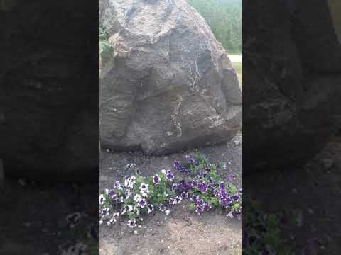 Check Out This Beautiful Landscaping Ideas💡| Front Yard Landscaping Ideas Check Out This Beautiful Landscaping Ideas💡| Front Yard Landscaping Ideas