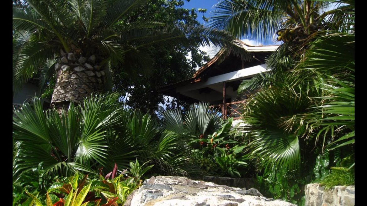 Asian style garden design