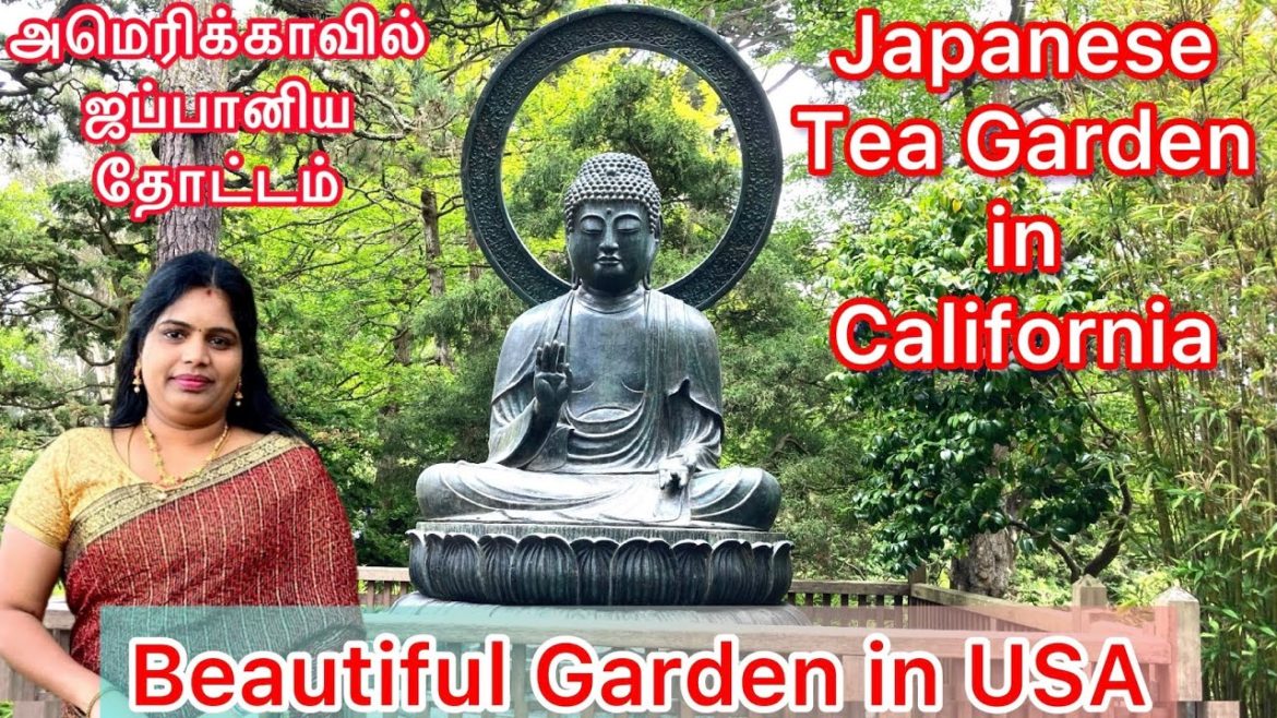 Japanese Tea Garden in USA | Tamil Vlog | California Tea Garden | Japanese Garden in San Francisco