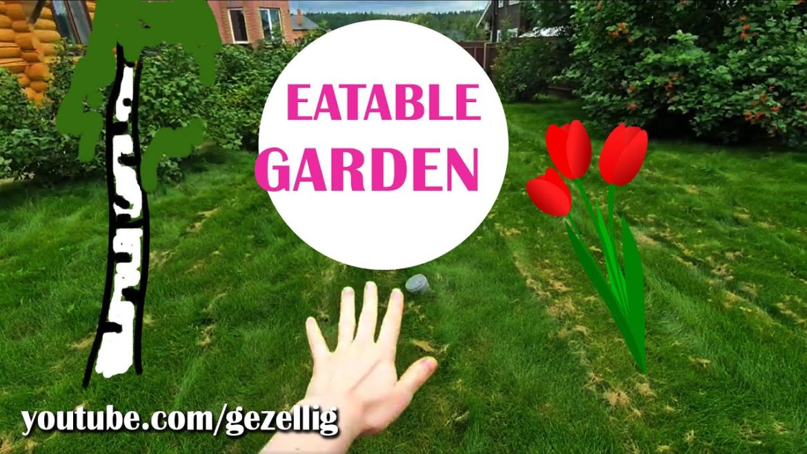 Typical DUTCH vs RUSSIAN garden design Typical DUTCH vs RUSSIAN garden design
