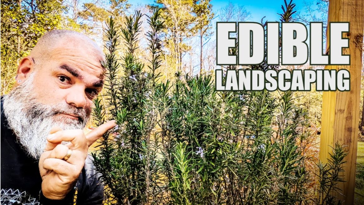 The Hidden Garden – Edible landscaping garden tour The Hidden Garden - Edible landscaping garden tour