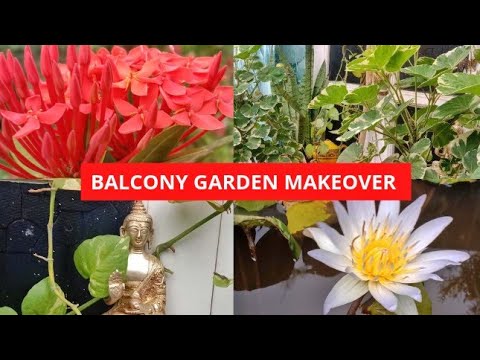 BALCONY GARDEN MAKEOVER/Garden Tips and Maintenance in தமிழ்/simple garden Ideas/Garden Tour/flowers BALCONY GARDEN MAKEOVER/Garden Tips and Maintenance in தமிழ்/simple garden Ideas/Garden Tour/flowers