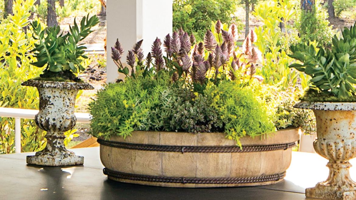How To Plant a Simple Moss Container Garden | Southern Living
