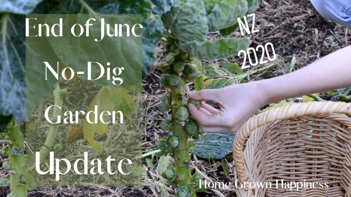 June No Dig Gardening Update (Edible Garden NZ Winter 2020) June No Dig Gardening Update (Edible Garden NZ Winter 2020)