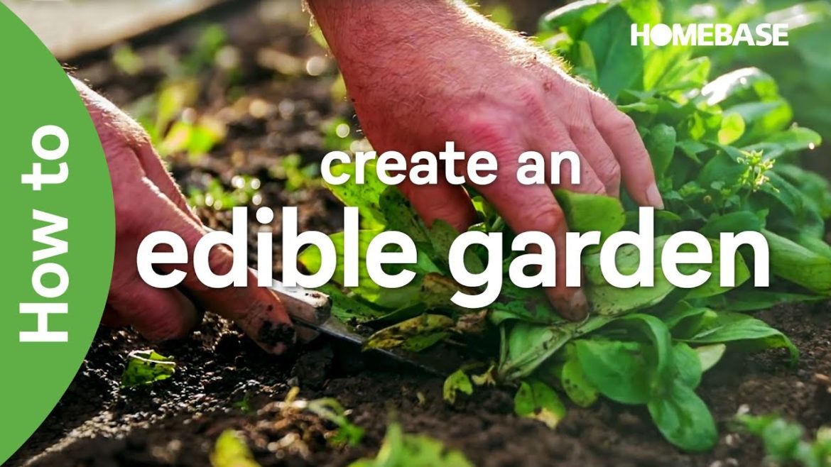 How to create an edible garden with Ann-Marie Powell | Garden Goals | Homebase