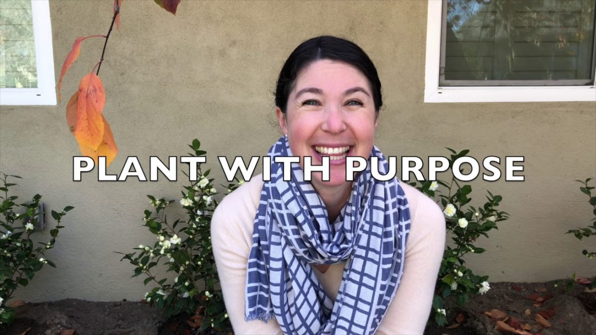 5 BUDGET-FRIENDLY FRONT YARD GARDEN MAKEOVER TIPS! (What We're Doing Well in 2020)