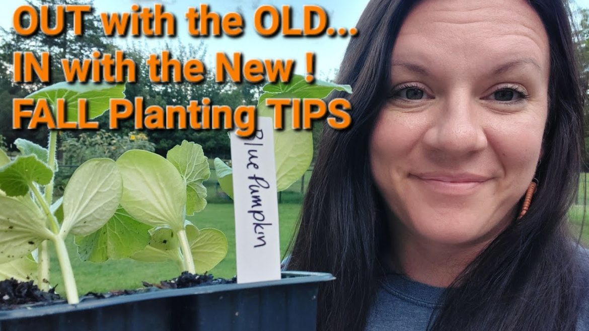 FALL GARDEN TIPS! How to fill in gaps in garden for fall...  and plan for fall harvests and frosts.