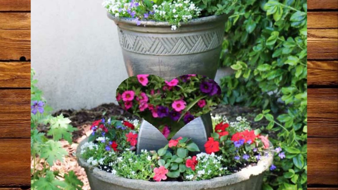 48+ Unique Container Gardening Ideas | MY GARDEN TV 48+ Unique Container Gardening Ideas | MY GARDEN TV