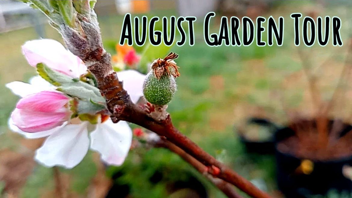 Edible Garden Tour, end of Winter.