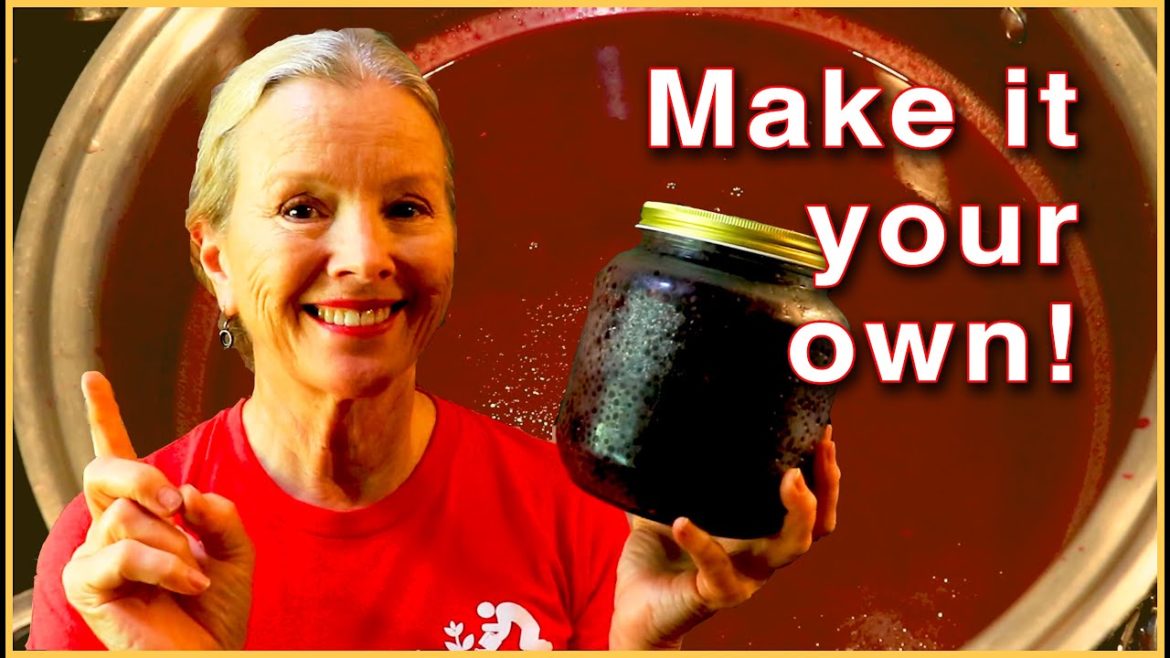Kaye Kittrell: Homemade Elderberry Syrup Recipe – with added benefit! Homemade Elderberry Syrup Recipe - with added benefit!