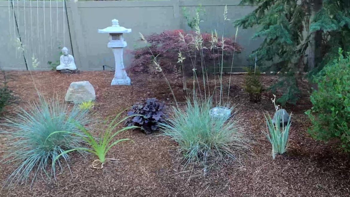 My Back Yard Walkthrough -  Landscaping Ideas