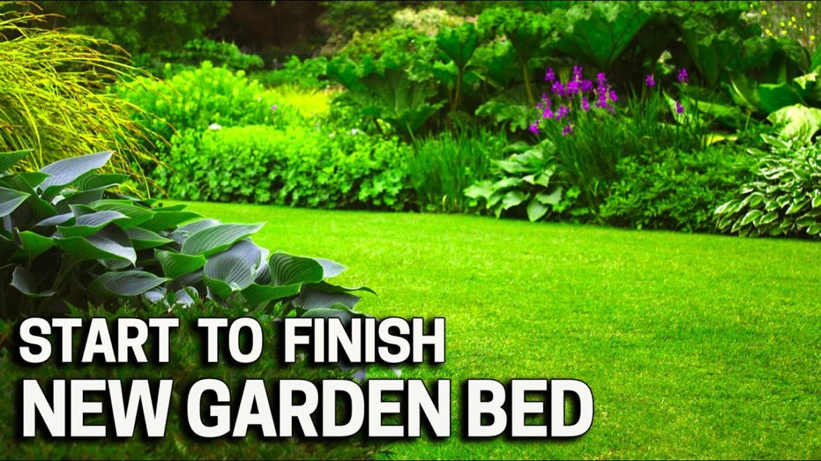 How to Create a Garden Bed START to FINISH from Grass How to Create a Garden Bed START to FINISH from Grass