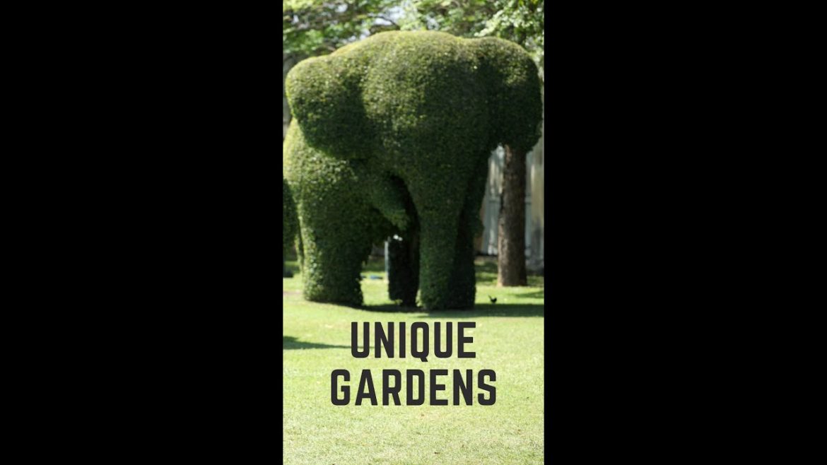 Unique Garden Design & Decoration Ideas #YoutubeShorts #Shorts Landscape Makeover & Renovation