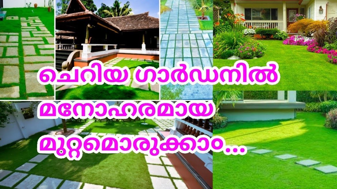 Awesome LANDSCAPE Design Ideas😍🌱|Garden Design for Small Gardens|Vertical garden|Salu koshy Awesome LANDSCAPE Design Ideas😍🌱|Garden Design for Small Gardens|Vertical garden|Salu koshy