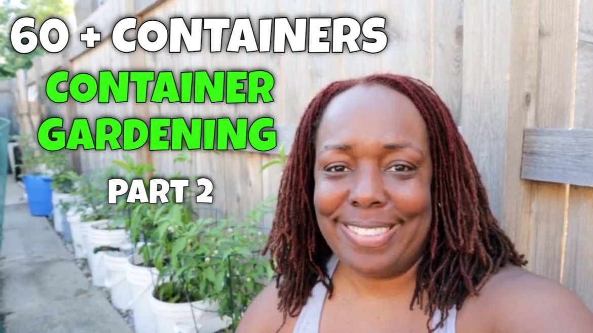 Container Gardening | Growing in 60+ Containers | Part 2